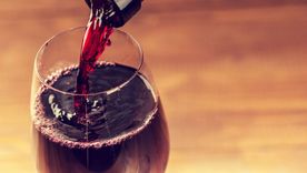 Buenísima iniciativa de la Muni de Capital.