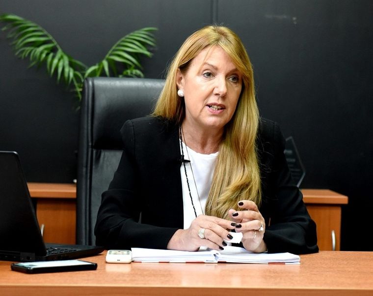 La diputada comentó que algunos artículos de la ley ómnibus eran pausibles a ser judicializados