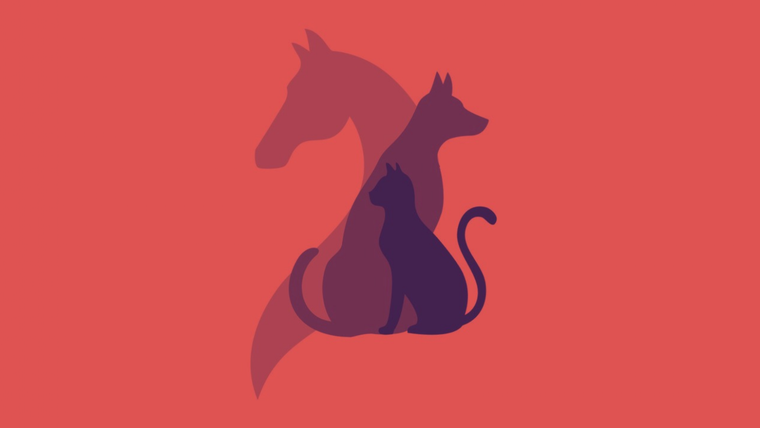 Test de personalidad