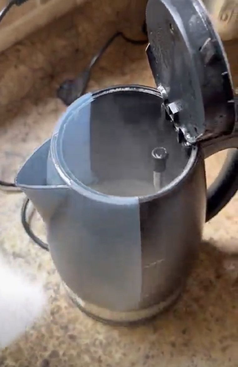 Video viral Foto: TikTok