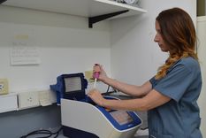 El equipo trabajó en colaboración con profesionales de un centro de salud en el caso de una paciente tratada hace muchos años con una enfermedad llamada amiloidosis. Foto: Conicet