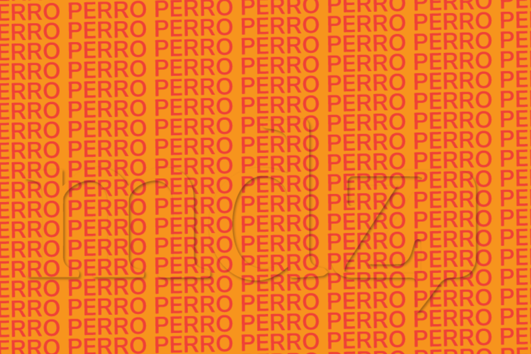 ACERTIJO VISUAL ACERTIJO VISUAL, RETO VISUAL, PALABRA Foto: MDZ ONLINE