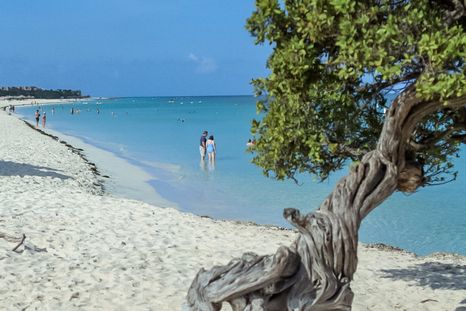 Un paraíso. Un paraíso.