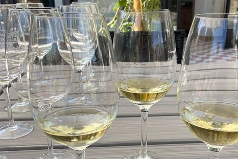 La temperatura de los vinos en verano, un factor clave.&nbsp;