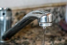 La bacteria suele transmitirse a través del agua o alimentos contaminados. Foto: Santiago Tagua/MDZ