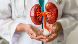 La Organización Mundial de la Salud (OMS) presentó una nueva hoja informativa sobre enfermedades renales.