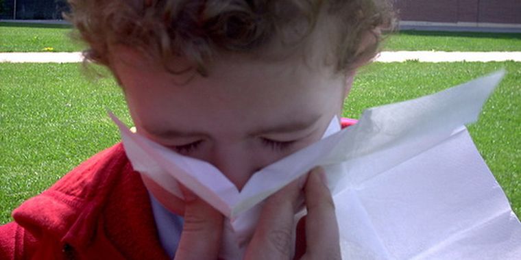 Los más afectados son niños de dos a ocho años y quienes sufren de asma. Sin embargo, gran parte de la población no logra escaparse de esta molesta afección. Foto: yahoo