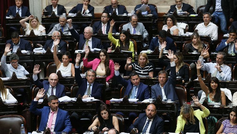 El Gobierno escrachó a los diputados que votaron en contra de la ley ómnibus Foto: NA