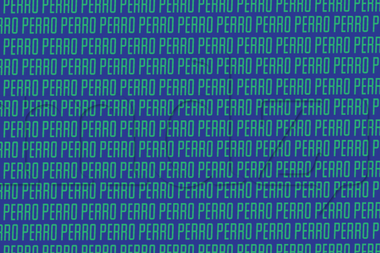 ACERTIJO VISUAL ACERTIJO VISUAL, RETO VISUAL, PALABRA Foto: MDZ ONLINE