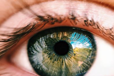 MDZol | Foto: Foto de wendel moretti en Pexels