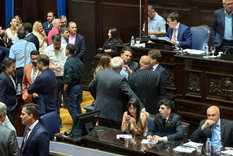 Se pico mal en la primera sesión extraordinaria del año de la Cámara Baja de la Legislatura bonaerense