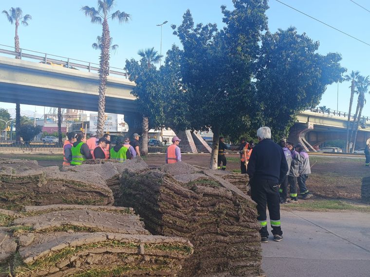 La descarga de champas inició pasadas las 7.30. La descarga de champas inició pasadas las 7.30.