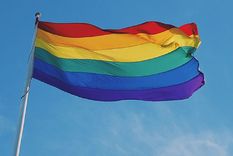 la visibilidad lesbica, el legado de la pepa: columna de silvina anfuso