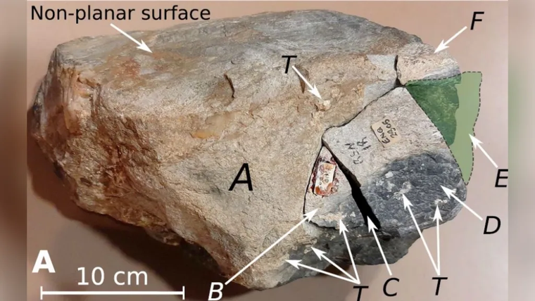 Detalle del Newall Boulder, la roca analizada en el reciente estudio sobre Stonehenge, que aportó pruebas en favor del traslado humano de los megalitos. Detalle del Newall Boulder, la roca analizada en el reciente estudio sobre Stonehenge, que aportó pruebas en favor del traslado humano de los megalitos.