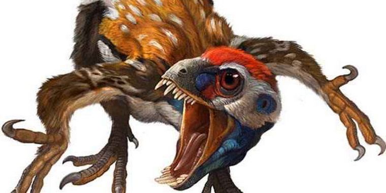 Dinosaurio emplumado de la especie Epidexipteryx hui. Foto: efe