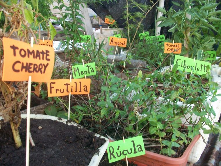 Las huertas urbanas son una riqueza en las casas que deciden hacerlas.