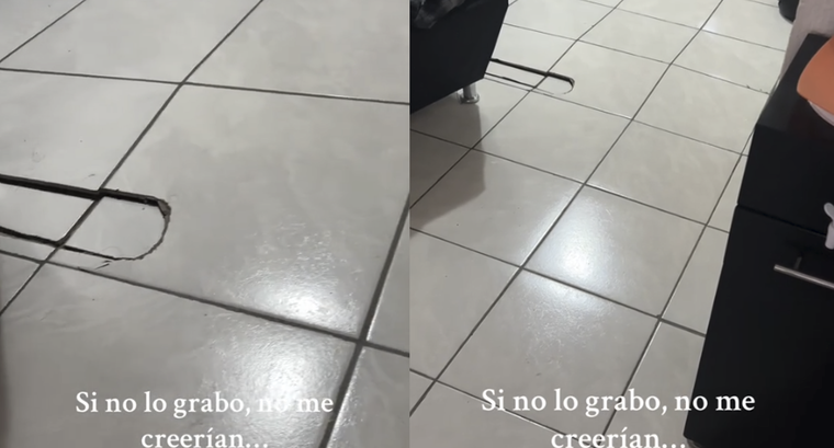 El video se hizo viral en muy poco tiempo. Foto: Archivo MDZ