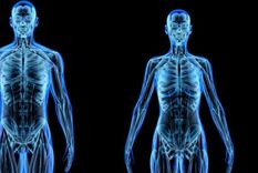 Nuestro cuerpo está fundamentalmente formado por átomos. Foto: BBC