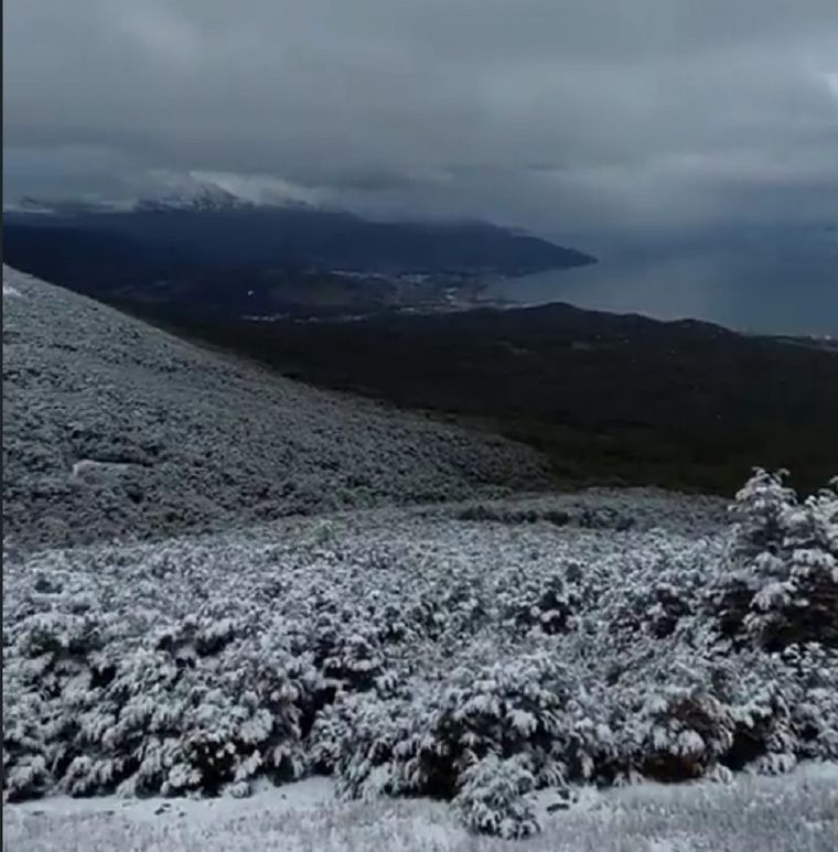 Foto: Captura de pantalla video de Tw Claudia Pilar Alonso