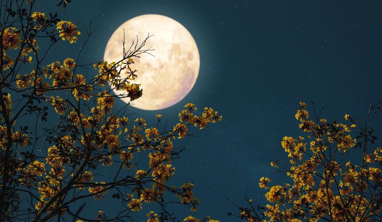 Este 11 de junio habrá Luna llena.