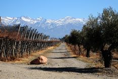 La oferta de trabajo incluye varios puestos disponibles.