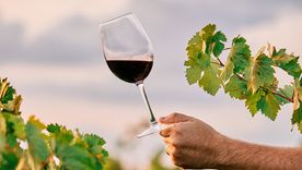 Ante un comercio mundial en vaivén el vino argentino precisa de una nueva gran estrategia para adaptarse a la época. Ante un comercio mundial en vaivén el vino argentino precisa de una nueva gran estrategia para adaptarse a la época.