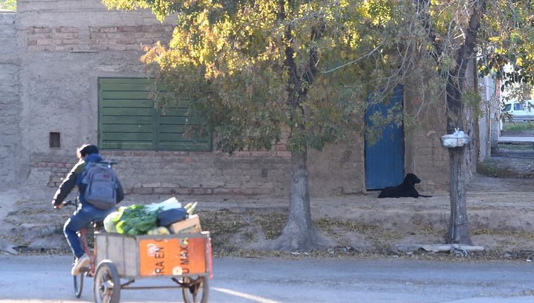Un hombre fue apuñalado en el barrio Tamarindo II. Foto: Walter Moreno/Mdz
