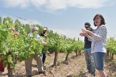 Lavalle se consolida como capital latinoamericana del vino casero y artesanal