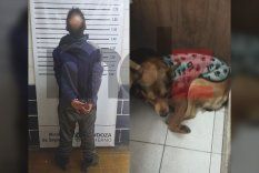 El hombre sospechado por el caso de maltrato animal y Fatiga, el can adoptado por los policías de la Comisaría 16° que sufrió la agresión.&nbsp;