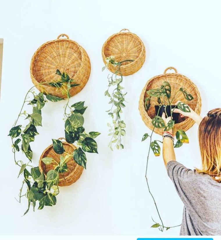 Jardinería. El contacto con las plantas reduce el estrés. Fuente: Freepik. Jardinería. El contacto con las plantas reduce el estrés. Fuente: Freepik.