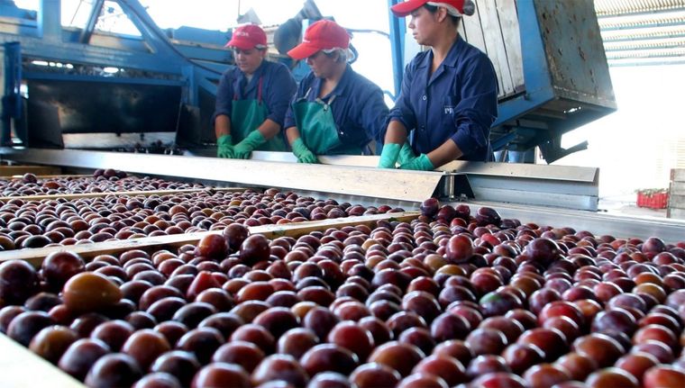 Agro e industria, dos caras de una moneda con proyección global. Foto: Gobierno de Mendoza