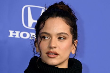 Rosalía tuvo que suspender su show en Milán. Rosalía tuvo que suspender su show en Milán.