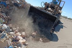Bolsas de carne siendo enterradas en el basurero de General Alvear.