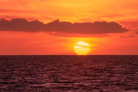 los oceanos del planeta alcanzan la temperatura media mas alta jamas registrada mientras el nino se intensifica
