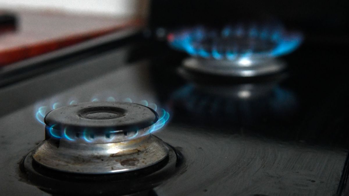 El Gobierno envió a Diputados el proyecto para restringir los subsidios al gas en zonas frías: a qué zonas prioriza