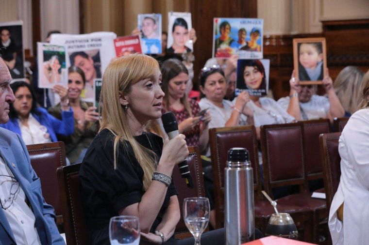 Foto: Prensa senadora Anabel Fernández Sagasti
