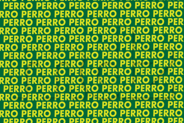 ACERTIJO VISUAL ACERTIJO VISUAL, RETO VISUAL. PALABRA Foto: MDZ ONLINE