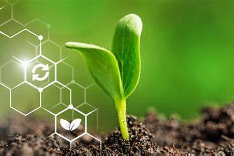 Hay evidencia de sobra que muestra que en los últimos 50 años, las frutas y verduras registraron caídas significativas en nutrientes esenciales.