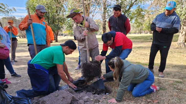 Cultura del árbol Plantación de árboles la Fundación Carmela Fassi, de inserción socio-laboral para jóvenes con discapacidad intelectual. Foto: Prensa Gobierno de Mendoza