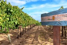 ¿Será difícil el 2021?