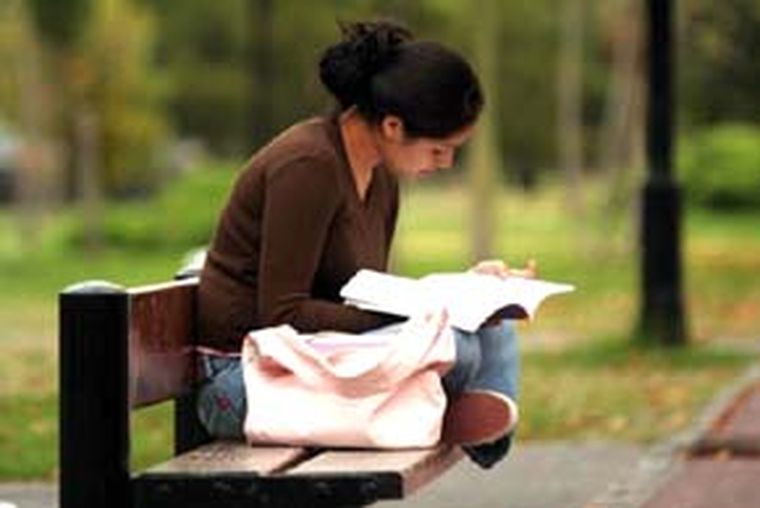 El curso destaca la importancia de la mediación y la selección de libros.