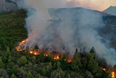 confirman que el incendio de el bolson fue por causa humana