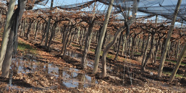 Foto: Pablo Matar/Mediamza.com