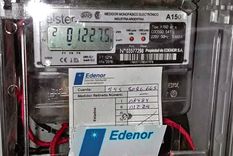 electricidad: el gobierno postergo la colocacion de medidores inteligentes