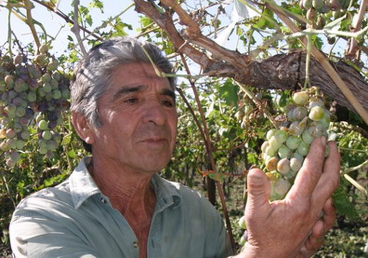 Foto: Gentileza Municipalidad de Lavalle