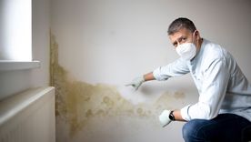 La humedad en las paredes es un problema que puede presentarse en cualquier hogar. Foto: Shutterstock