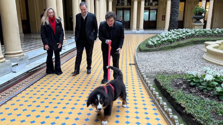 Javier Milei con su perro Thor en Casa Rosada.