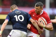 irlanda y escocia siguen imparables en el seis naciones de rugby
