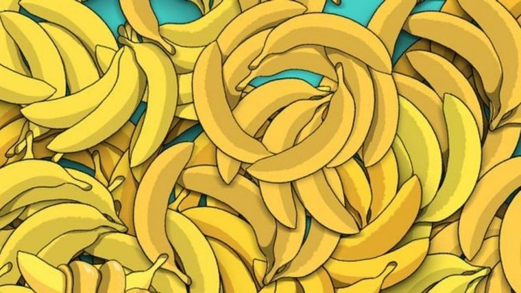 ACERTIJO VISUAL ACERTIJO VISUAL, RETO VISUAL, BANANA Foto: ARCHIVO