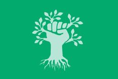 Test de personalidad